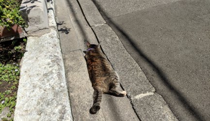 引越し