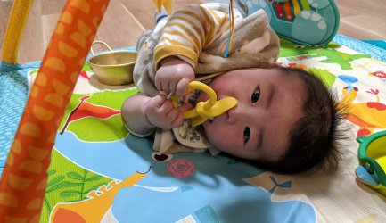 結婚と子育て