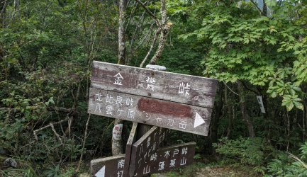 ドキドキした書籍など