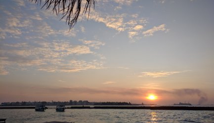 特別清算の話