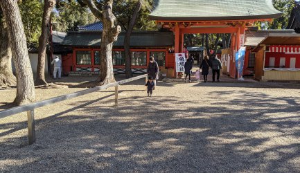 年明けダイジェスト