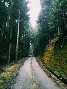 自転車と距離を置く