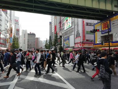 日曜は秋葉原へ