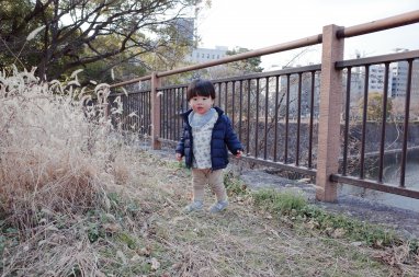 勝手に電子書籍の今後を検討する