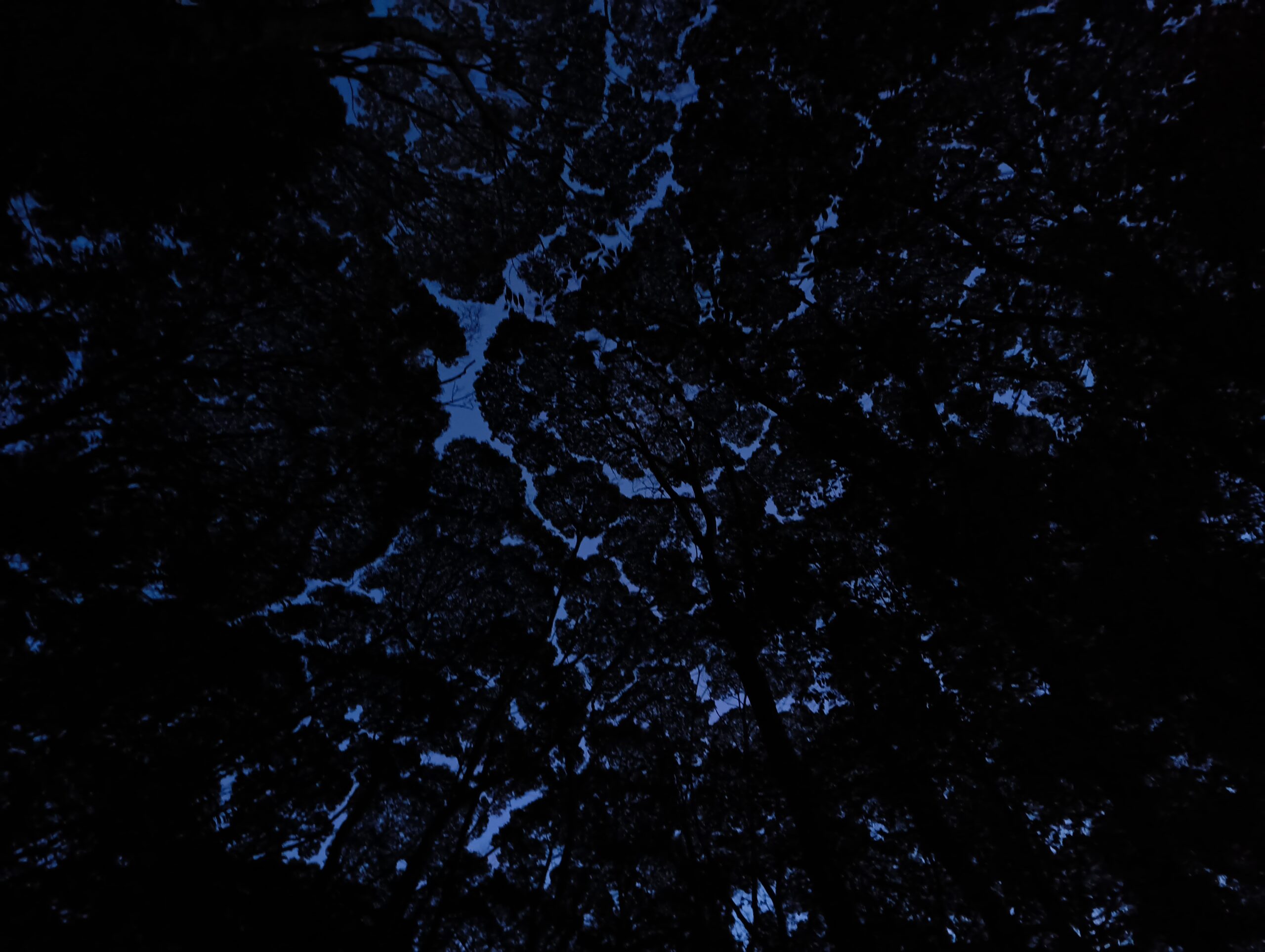 今更2025年を振り返り（音楽と読書編）