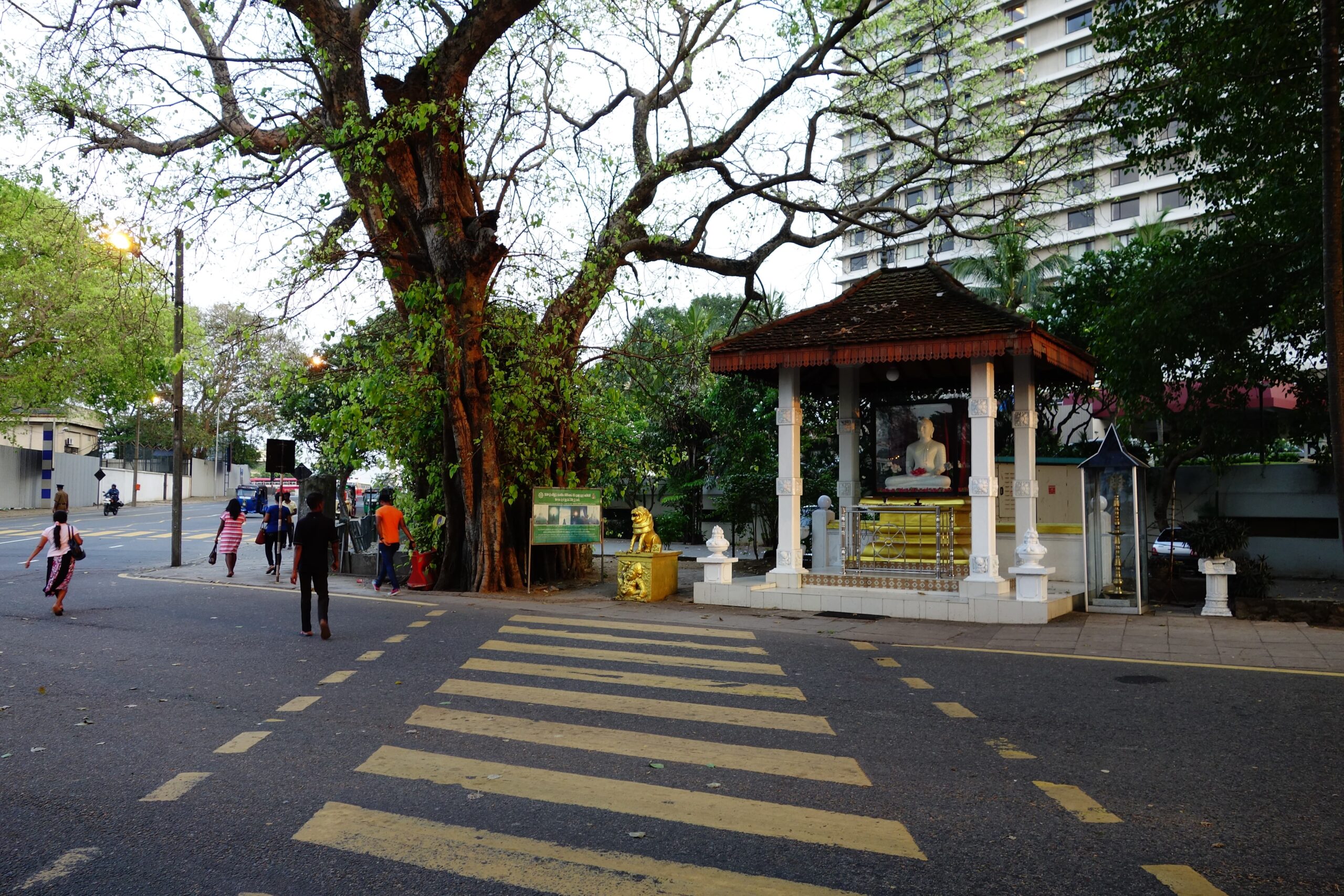 体のメンテナンスに何しているか